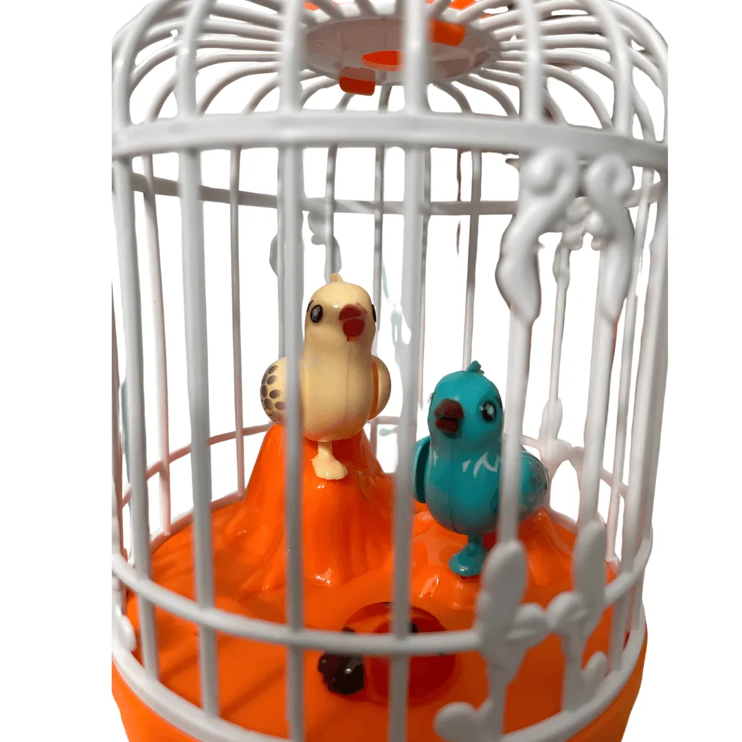 2 in 1 Beautiful Talking Birds in Cage (Multicolor)