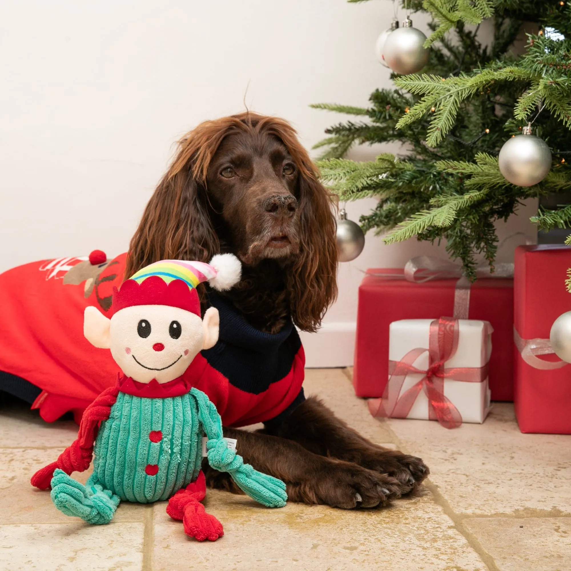 Christmas Elf Dog Toy