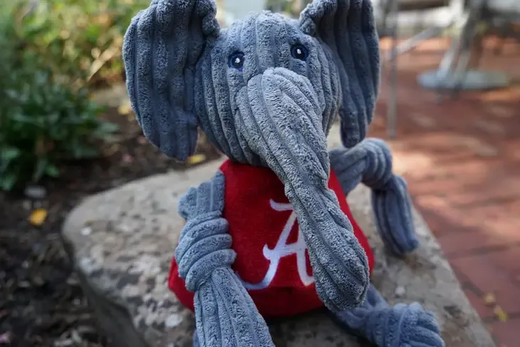 Huggle Hounds Dog Toy / Alabama Big Al Mascot Knottie