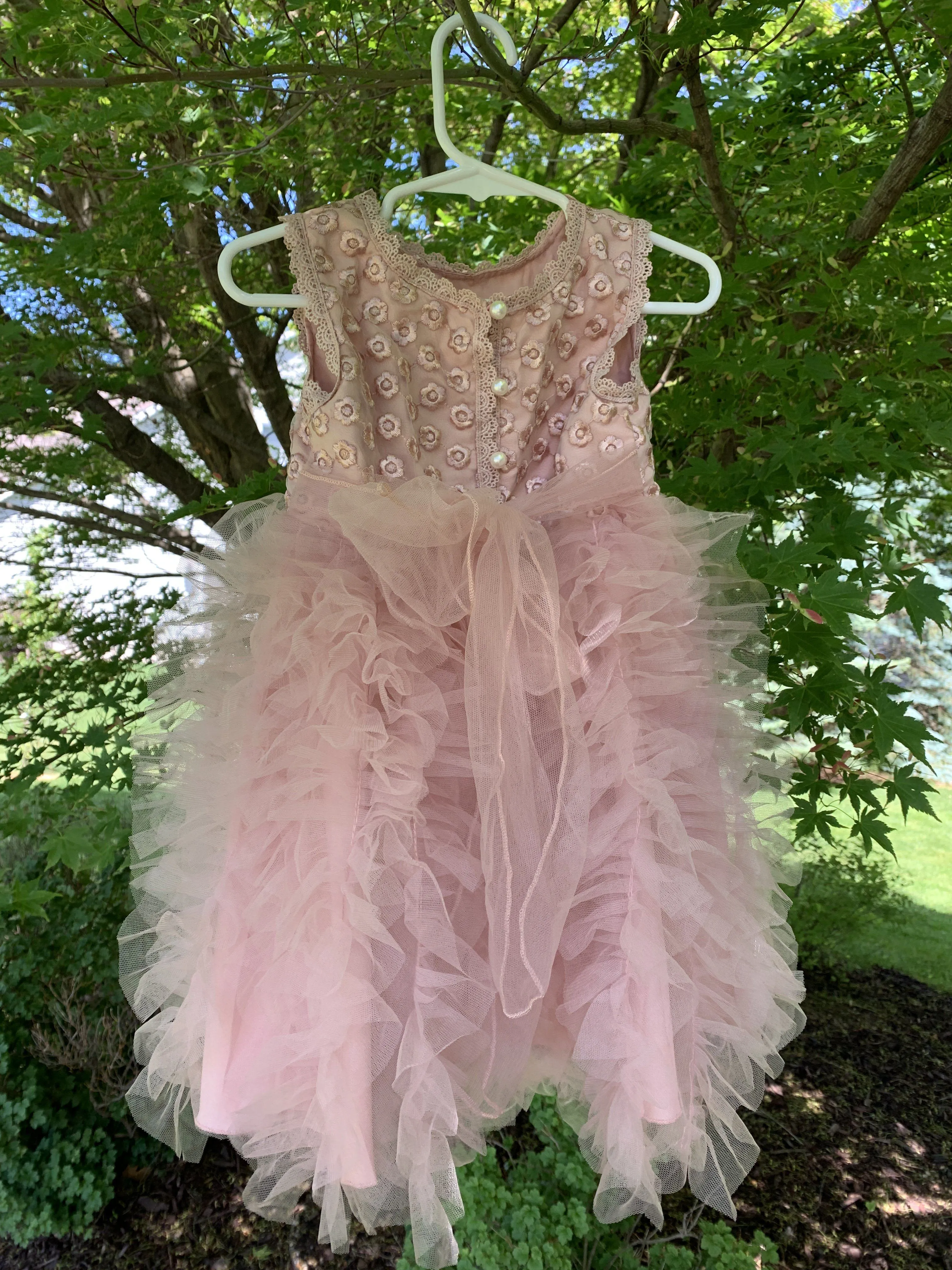 Little Princess Ruffle Lace Dress-Priority Shipping